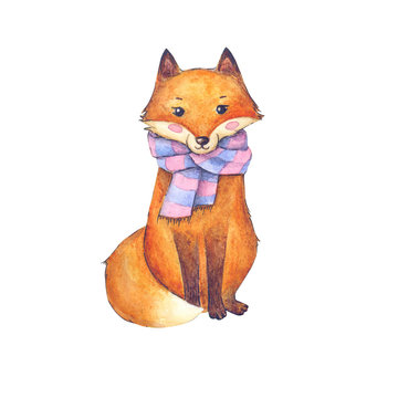 Hand drawn watercolor red fox on white background illustration