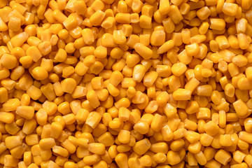 Background of canned sweet corn. Top view.