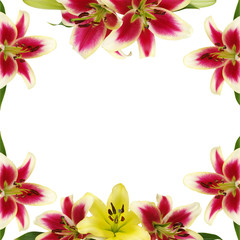 Obraz na płótnie Canvas Floral frame made of liles