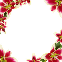 Obraz na płótnie Canvas Floral frame made of liles