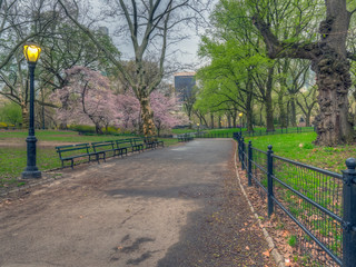 Central Park in spring