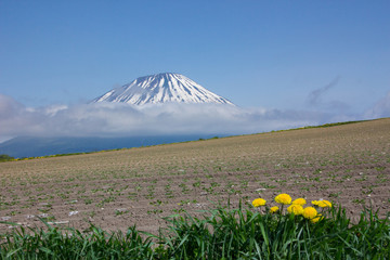 春の羊蹄山