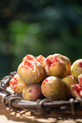 新鮮なイチジク