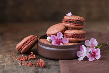 Brown chocolate, coffee, toffee, salted caramel french macarons or macaroons stacked in gift box on stone background.