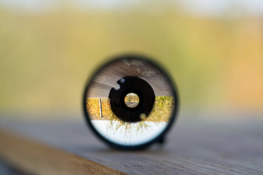 Garden view through camera lanes