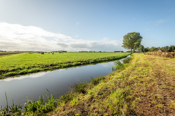 Dutch landscape after cleaning the ditch