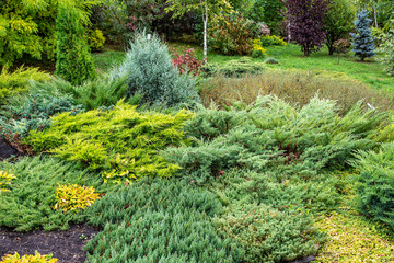Аrea of the garden with beautiful lush shrubs