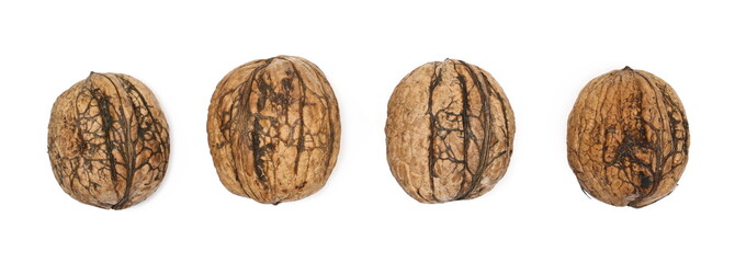 Walnuts set and collection isolated on white background, top view
