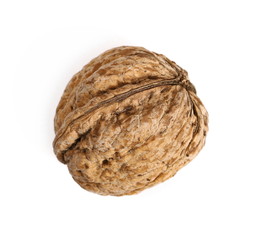 Walnut isolated on white background, top view