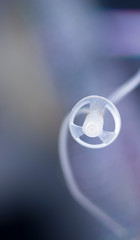 Hearing aid closeup isolated