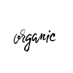 Organic lettering. Handwritten modern dry brush calligraphy. Vector typography banner.