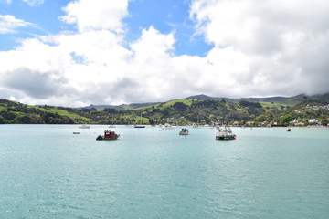 Fototapeta na wymiar Akaroa in South Island, New Zealand