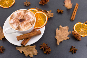 Cup of coffee with marshmallows and cocoa, leaves, dried oranges, cinnamon and star anise, gray stone background. Tasty hot autumn drink. Copy space.