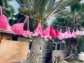 colorful bras on the beach