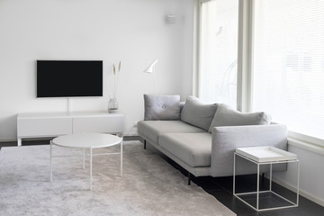Scandinavian style living room with white walls and light-colored furniture. Scandinavian interior design is characterised by spaces filled with light, neutral colour palettes and clean lines.