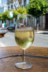 Sherry wine tasting, dry fino, manzanilla or palomino jerez fortified wine in glasses, Jerez de la Frontera, Andalusia, Spain