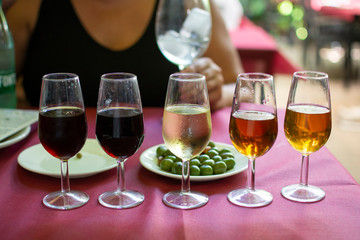 Sherry wine tasting, selection of different jerez fortified wines from dry to very sweet, Jerez de la Frontera, Andalusia, Spain