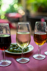 Sherry wine tasting, selection of different jerez fortified wines from dry to very sweet, Jerez de la Frontera, Andalusia, Spain