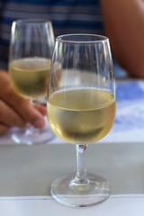 Sherry wine tasting, dry fino, manzanilla or palomino jerez fortified wine in glasses, Jerez de la Frontera, Andalusia, Spain