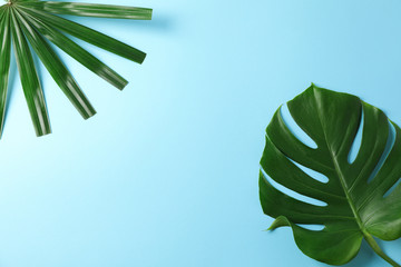 Different palm leaves on blue background, copy space