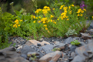 Wanderung in Georgien