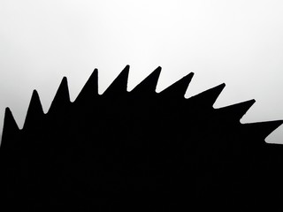 the silhouette of the teeth of a circular