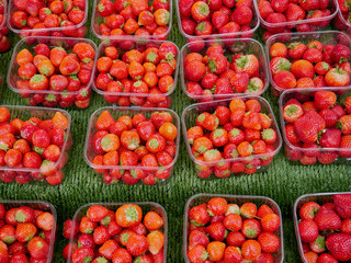 Stall with strawberries in plastic boxes in the market. Top view.