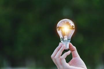 hand holding light bulb in garden green nature background.
