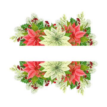 Watercolor Christmas border of poinsettia flowers. Winter decoration from Christmas star and winter plants: holly leaves, dried twig with red berries and fir branch isolated on white background.