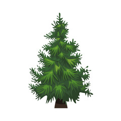 Hand drawn Fir tree with for your design. Cartoon style hand drawn christmas tree. Vector illustration.