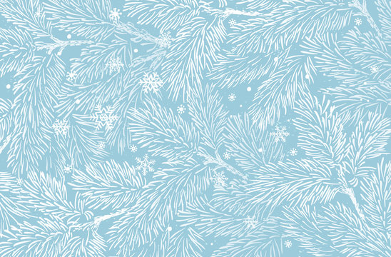 Winter holidays background with pine branches and snowflakes. Winter card design.