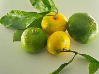 green and yellow mandarins with green leafs in a white background