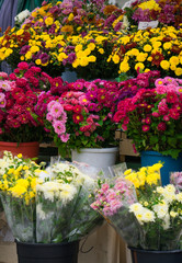 Multi-colored bouquets for sale on the market for sale.