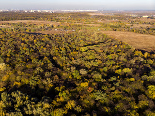 Autumn forest aerial drone view