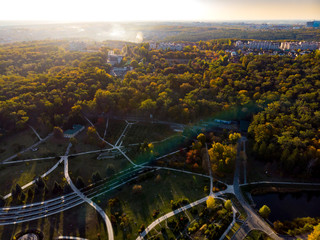 Autumn forest aerial drone view