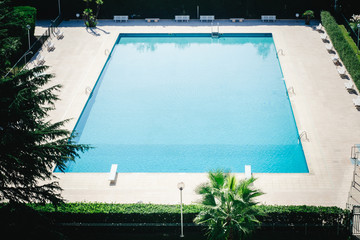 Swimming pool rectangular with blue water, green plants and benches around