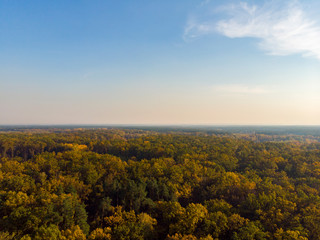Autumn forest aerial drone view