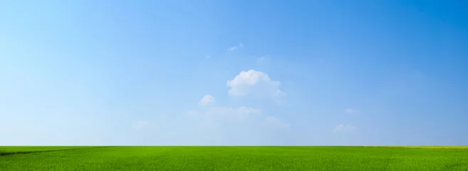 Fototapeten Himmel und grünes Feld Hintergrundpanorama © Chalermpon
