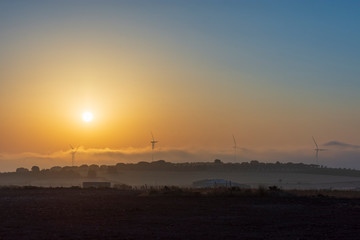 wind turbines of a wind farm at dawn.