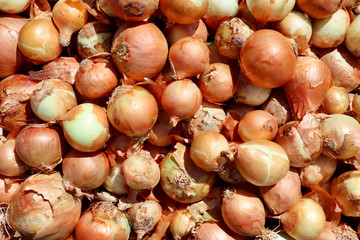 A pile of white onions on a market stall