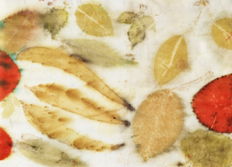 Botanical print
