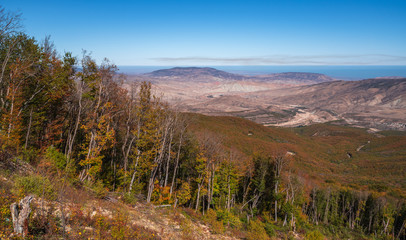 Colorful autumn forest on the mountain slopes