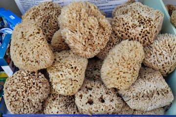 A pile of sea sponges for sale