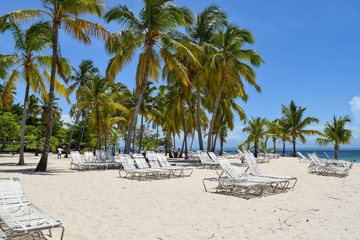 Beach with palms and white sand and sunbeds in front of the ocean, caribbean island cayo levantado