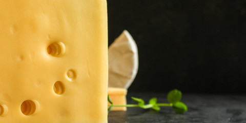 cheese variety (delicious snack, different types of hard and soft cheese) menu concept. food background. copy space. Top view
