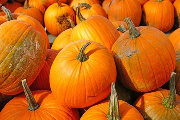 Display of round orange pumpkins at the farmers market in the fall