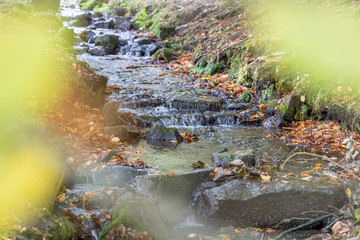Herstlicher Bauchlauf