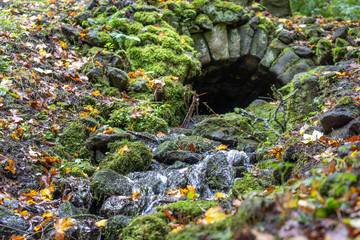 Herstlicher Bauchlauf