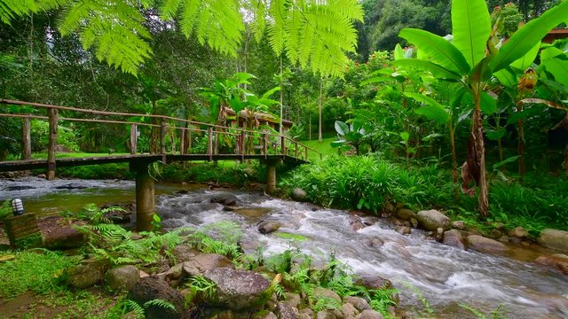 4K video of water flowing at Teentok royal project development center, Thailand.