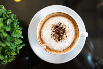 Cappuccino coffee cup with plastic tree on table, top view.